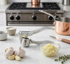Stainless Steel Garlic Press Crusher