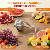 Hand Press Juicer